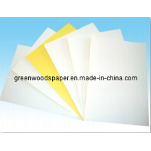 Sticker Paper for Supermarket Price Label,